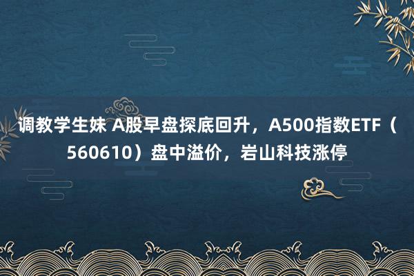 调教学生妹 A股早盘探底回升，A500指数ETF（560610）盘中溢价，岩山科技涨停