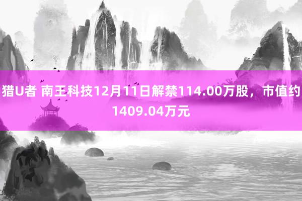 猎U者 南王科技12月11日解禁114.00万股，市值约1409.04万元