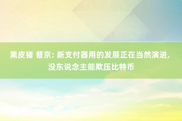 黑皮猪 普京: 新支付器用的发展正在当然演进， 没东说念主能欺压比特币