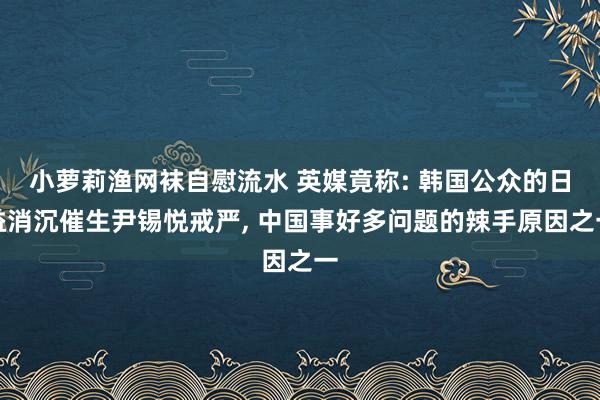 小萝莉渔网袜自慰流水 英媒竟称: 韩国公众的日益消沉催生尹锡悦戒严， 中国事好多问题的辣手原因之一