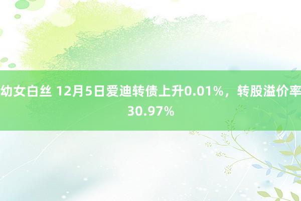 幼女白丝 12月5日爱迪转债上升0.01%，转股溢价率30.97%