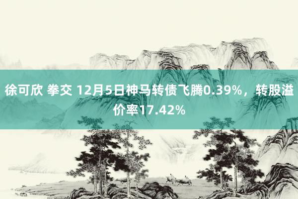 徐可欣 拳交 12月5日神马转债飞腾0.39%，转股溢价率17.42%