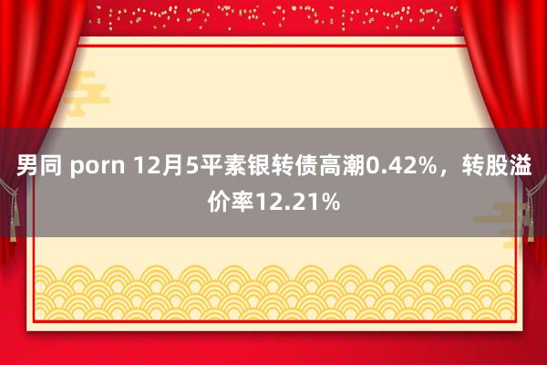 男同 porn 12月5平素银转债高潮0.42%，转股溢价率12.21%