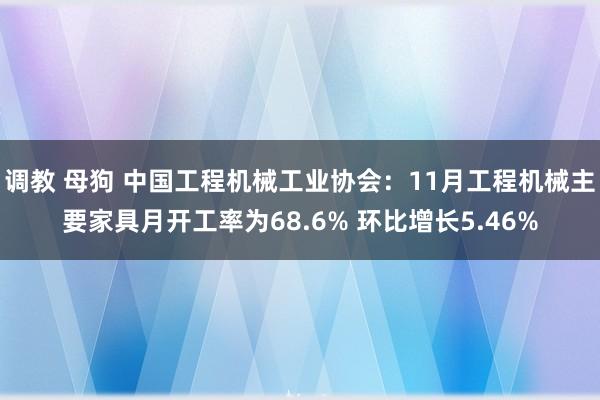 调教 母狗 中国工程机械工业协会：11月工程机械主要家具月开工率为68.6% 环比增长5.46%