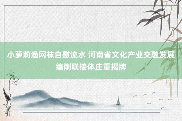 小萝莉渔网袜自慰流水 河南省文化产业交融发展编削联接体庄重揭牌