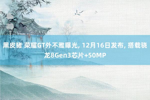 黑皮猪 荣耀GT外不雅曝光， 12月16日发布， 搭载骁龙8Gen3芯片+50MP