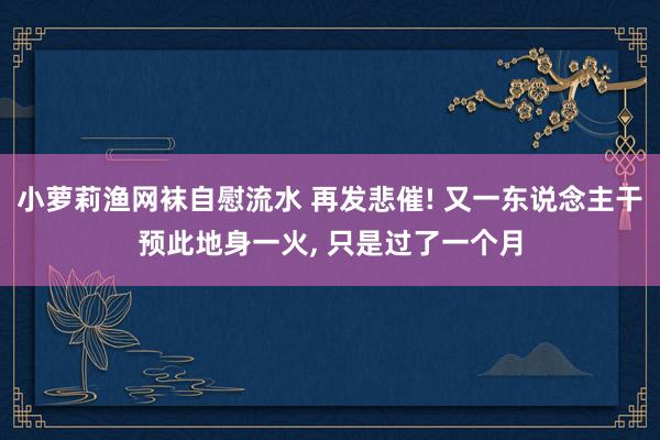 小萝莉渔网袜自慰流水 再发悲催! 又一东说念主干预此地身一火， 只是过了一个月