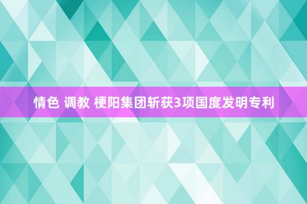 情色 调教 梗阳集团斩获3项国度发明专利