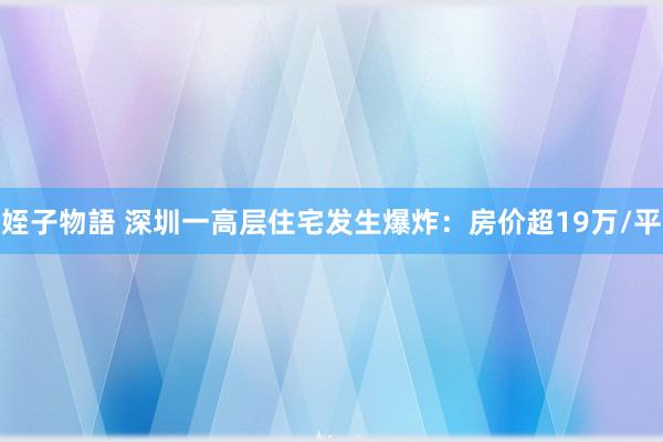 姪子物語 深圳一高层住宅发生爆炸：房价超19万/平