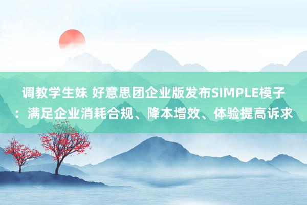 调教学生妹 好意思团企业版发布SIMPLE模子：满足企业消耗合规、降本增效、体验提高诉求