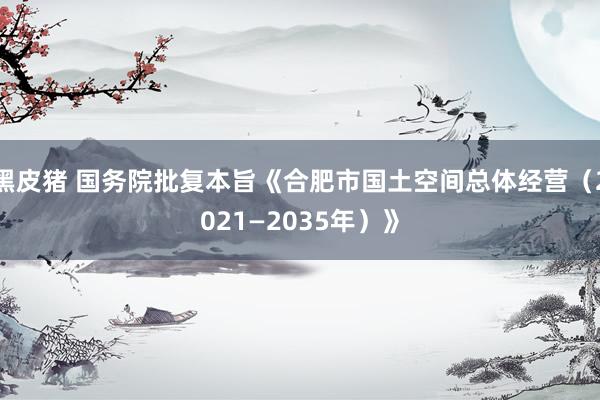 黑皮猪 国务院批复本旨《合肥市国土空间总体经营（2021—2035年）》