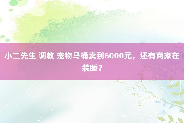 小二先生 调教 宠物马桶卖到6000元，还有商家在装睡？