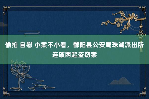 偷拍 自慰 小案不小看，鄱阳县公安局珠湖派出所连破两起盗窃案