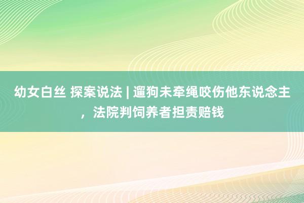 幼女白丝 探案说法 | 遛狗未牵绳咬伤他东说念主，法院判饲养者担责赔钱