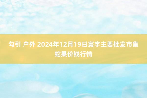 勾引 户外 2024年12月19日寰宇主要批发市集蛇果价钱行情