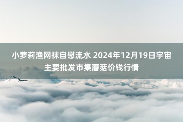 小萝莉渔网袜自慰流水 2024年12月19日宇宙主要批发市集蘑菇价钱行情