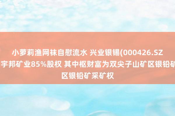 小萝莉渔网袜自慰流水 兴业银锡(000426.SZ)拟收购宇邦矿业85%股权 其中枢财富为双尖子山矿区银铅矿采矿权