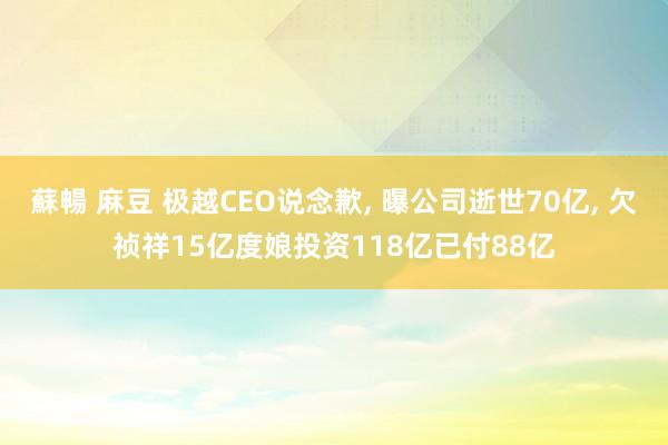 蘇暢 麻豆 极越CEO说念歉， 曝公司逝世70亿， 欠祯祥15亿度娘投资118亿已付88亿