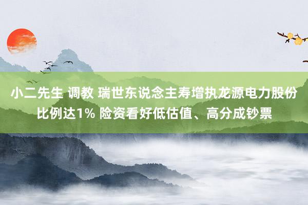 小二先生 调教 瑞世东说念主寿增执龙源电力股份比例达1% 险资看好低估值、高分成钞票