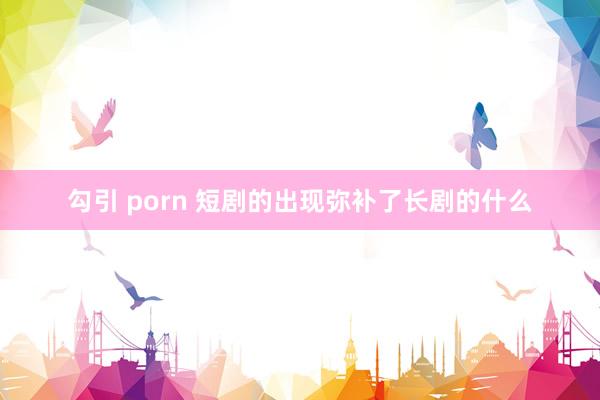 勾引 porn 短剧的出现弥补了长剧的什么