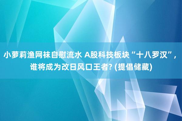 小萝莉渔网袜自慰流水 A股科技板块“十八罗汉”， 谁将成为改日风口王者? (提倡储藏)