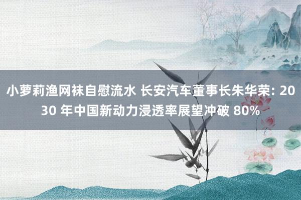 小萝莉渔网袜自慰流水 长安汽车董事长朱华荣: 2030 年中国新动力浸透率展望冲破 80%