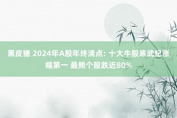 黑皮猪 2024年A股年终清点: 十大牛股寒武纪涨幅第一 最熊个股跌近80%