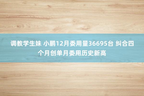 调教学生妹 小鹏12月委用量36695台 纠合四个月创单月委用历史新高