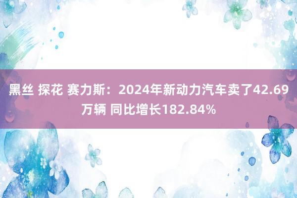 黑丝 探花 赛力斯：2024年新动力汽车卖了42.69万辆 同比增长182.84%