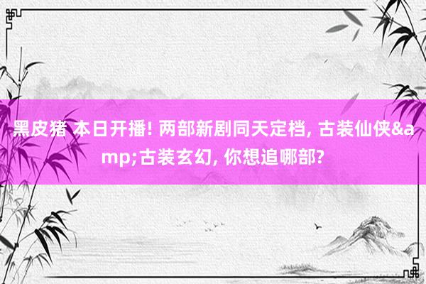 黑皮猪 本日开播! 两部新剧同天定档， 古装仙侠&古装玄幻， 你想追哪部?