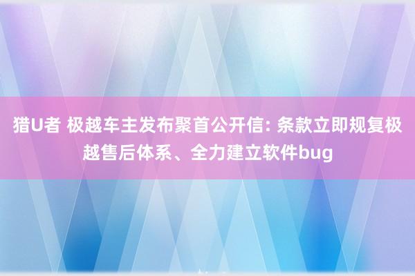 猎U者 极越车主发布聚首公开信: 条款立即规复极越售后体系、全力建立软件bug