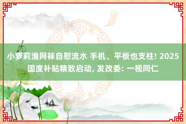 小萝莉渔网袜自慰流水 手机、平板也支柱! 2025国度补贴精致启动， 发改委: 一视同仁