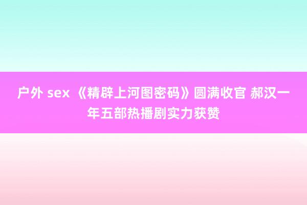 户外 sex 《精辟上河图密码》圆满收官 郝汉一年五部热播剧实力获赞