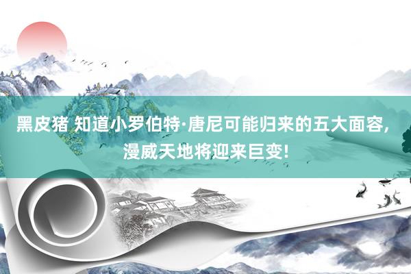 黑皮猪 知道小罗伯特·唐尼可能归来的五大面容， 漫威天地将迎来巨变!