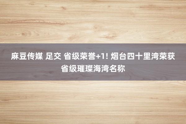 麻豆传媒 足交 省级荣誉+1! 烟台四十里湾荣获省级璀璨海湾名称