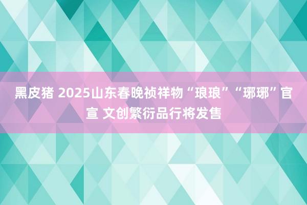 黑皮猪 2025山东春晚祯祥物“琅琅”“琊琊”官宣 文创繁衍品行将发售