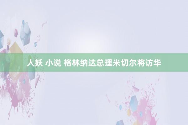 人妖 小说 格林纳达总理米切尔将访华