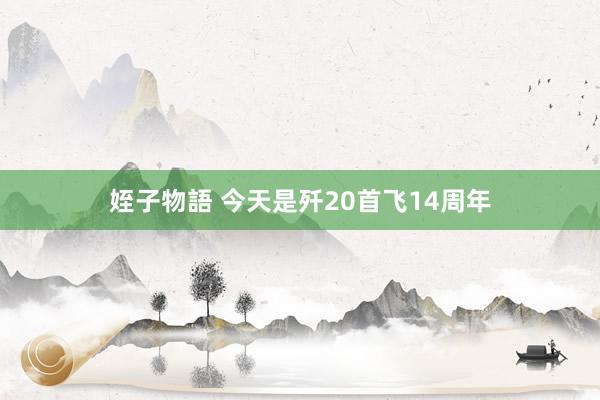 姪子物語 今天是歼20首飞14周年