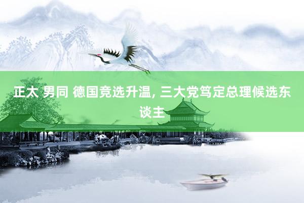 正太 男同 德国竞选升温， 三大党笃定总理候选东谈主