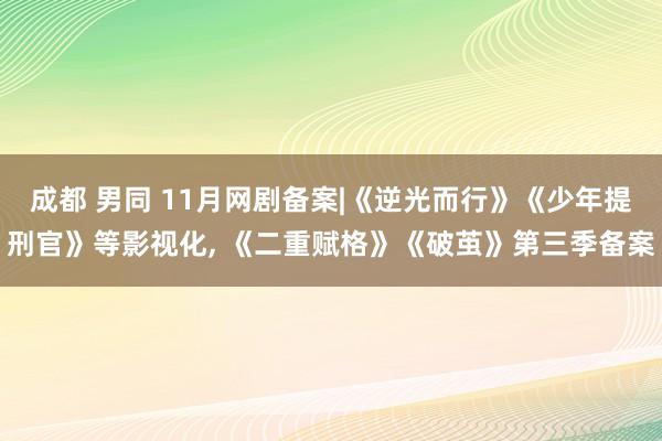 成都 男同 11月网剧备案|《逆光而行》《少年提刑官》等影视化， 《二重赋格》《破茧》第三季备案