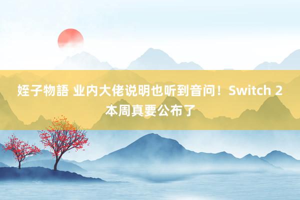 姪子物語 业内大佬说明也听到音问！Switch 2本周真要公布了