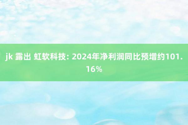 jk 露出 虹软科技: 2024年净利润同比预增约101.16%